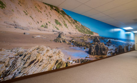 Crystal cove beach wall mural panorama