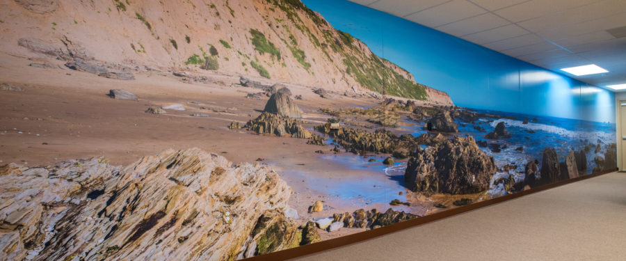 Crystal cove beach wall mural panorama