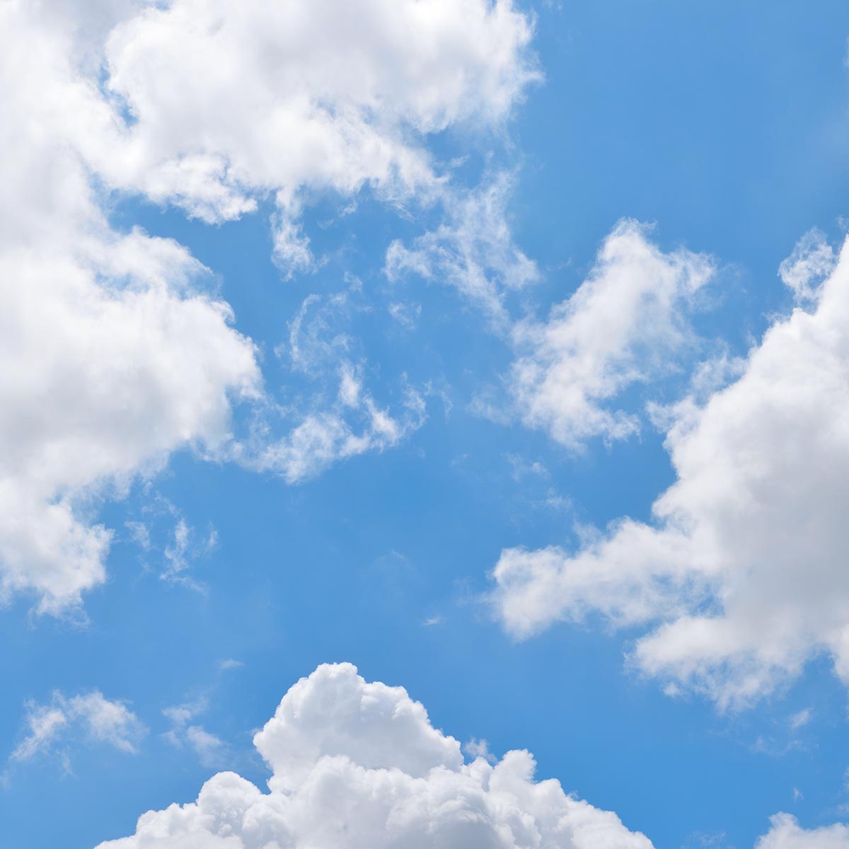 California Skies 2×2