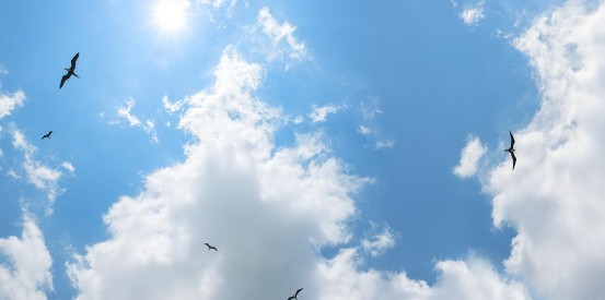 sky ceiling real del mar beach with frigatebirds fluorescent light covers