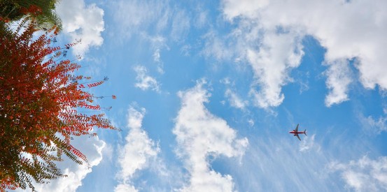 sky ceiling with plane and red tree fluorescent light covers