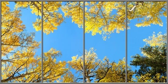 colorado aspen trees sky ceiling fluorescent light covers 4 panel layout