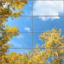 aspen sky ceiling with trees fluorescent light covers