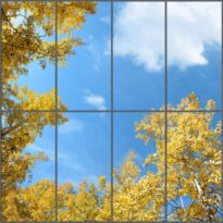 Sky Mural - Aspen Sky 3947 • Fluorescent Light Covers • Fluorescent Gallery