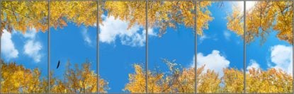 6 panel sky ceiling fluorescent light covers with aspen trees