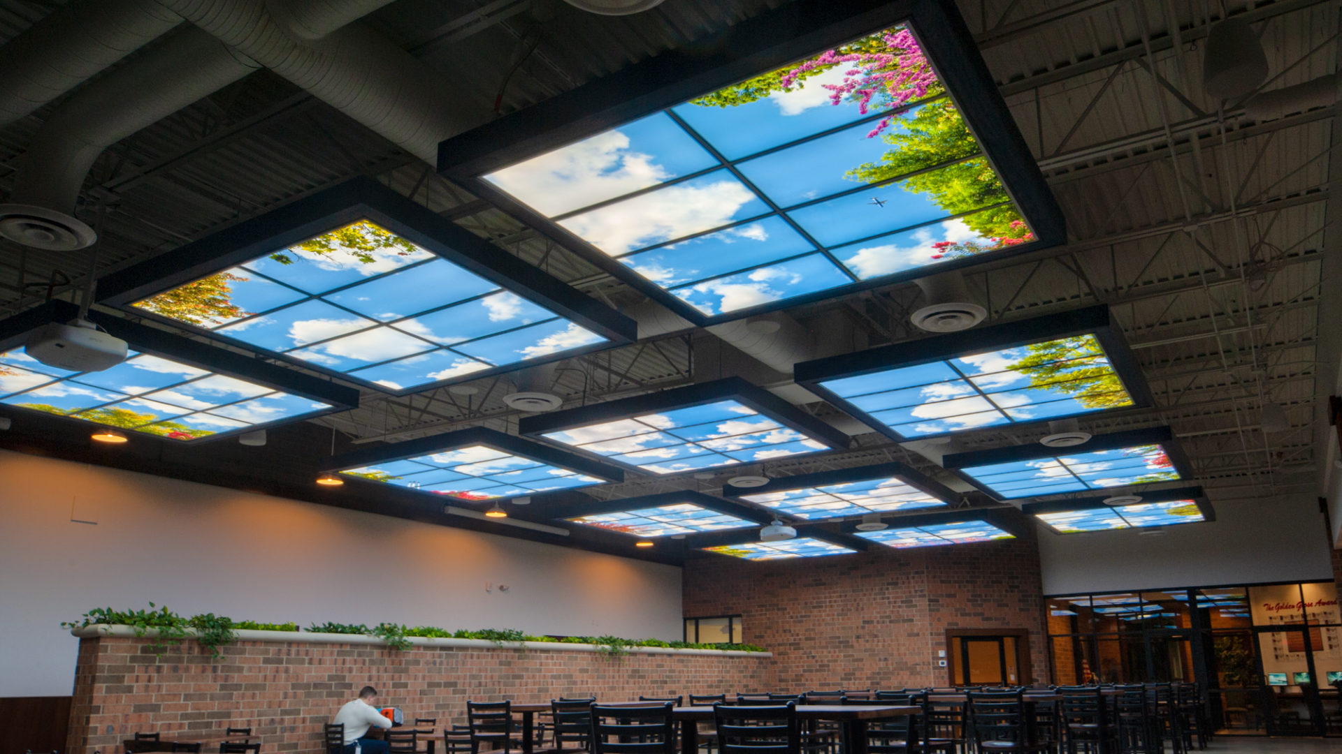 Fluorescent Gallery sky mural ceiling LED Panels