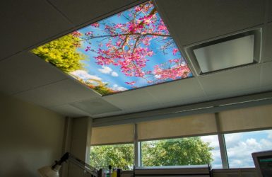 CEILING PANELS: Fluorescent Ceiling Light