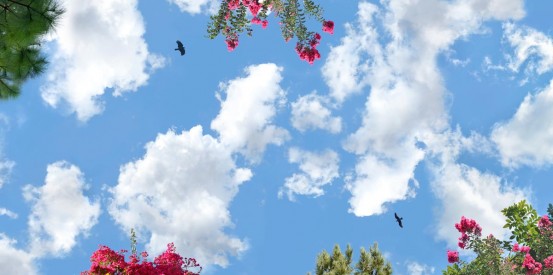 sky ceiling springtime bliss with flowers fluorescent light covers