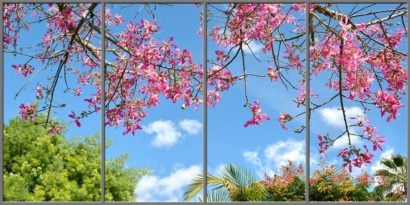 pink trees sky ceiling fluorescent light covers