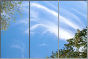 sky ceiling fluorescent light covers with wispy clouds and trees