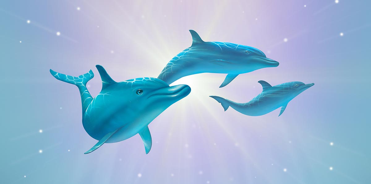 David Miller - Dolphin Dream - Fluorescent Light Covers - Fluorescent Gallery David Miller - Dolphin Dream - Fluorescent Light Covers - Fluorescent Gallery